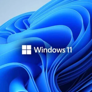 Windows 11